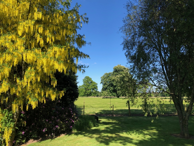 Bisterne Manor & Stable Family Home Trust